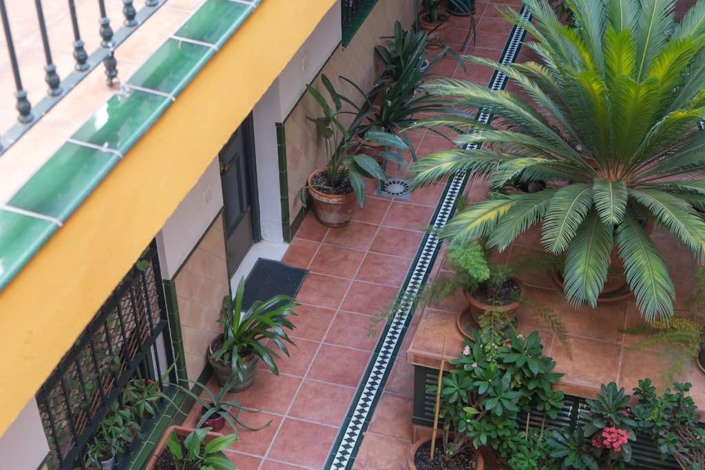 Apartamento Junto A Las Setas De Sevilla Екстер'єр фото